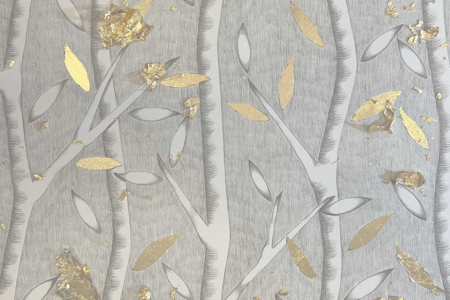 Un brindisi prima delle feste con tante novità