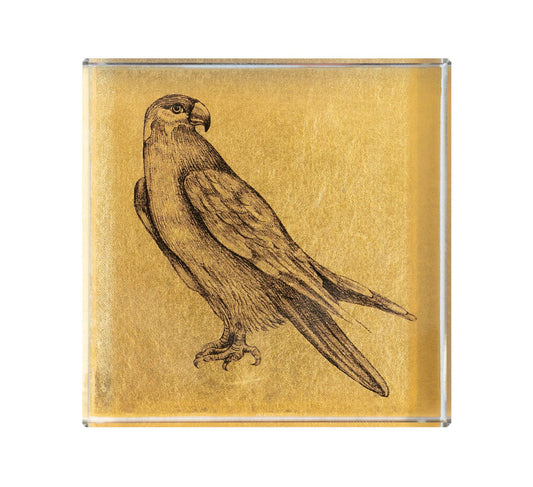 Falco Otto per Otto