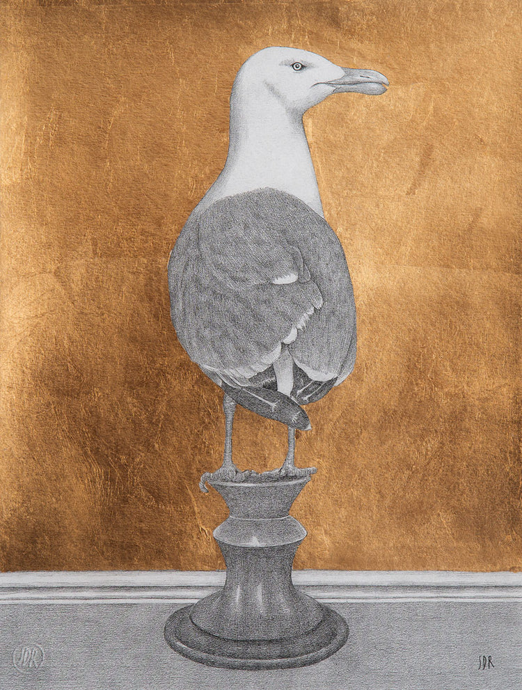 Seagull - Golden print