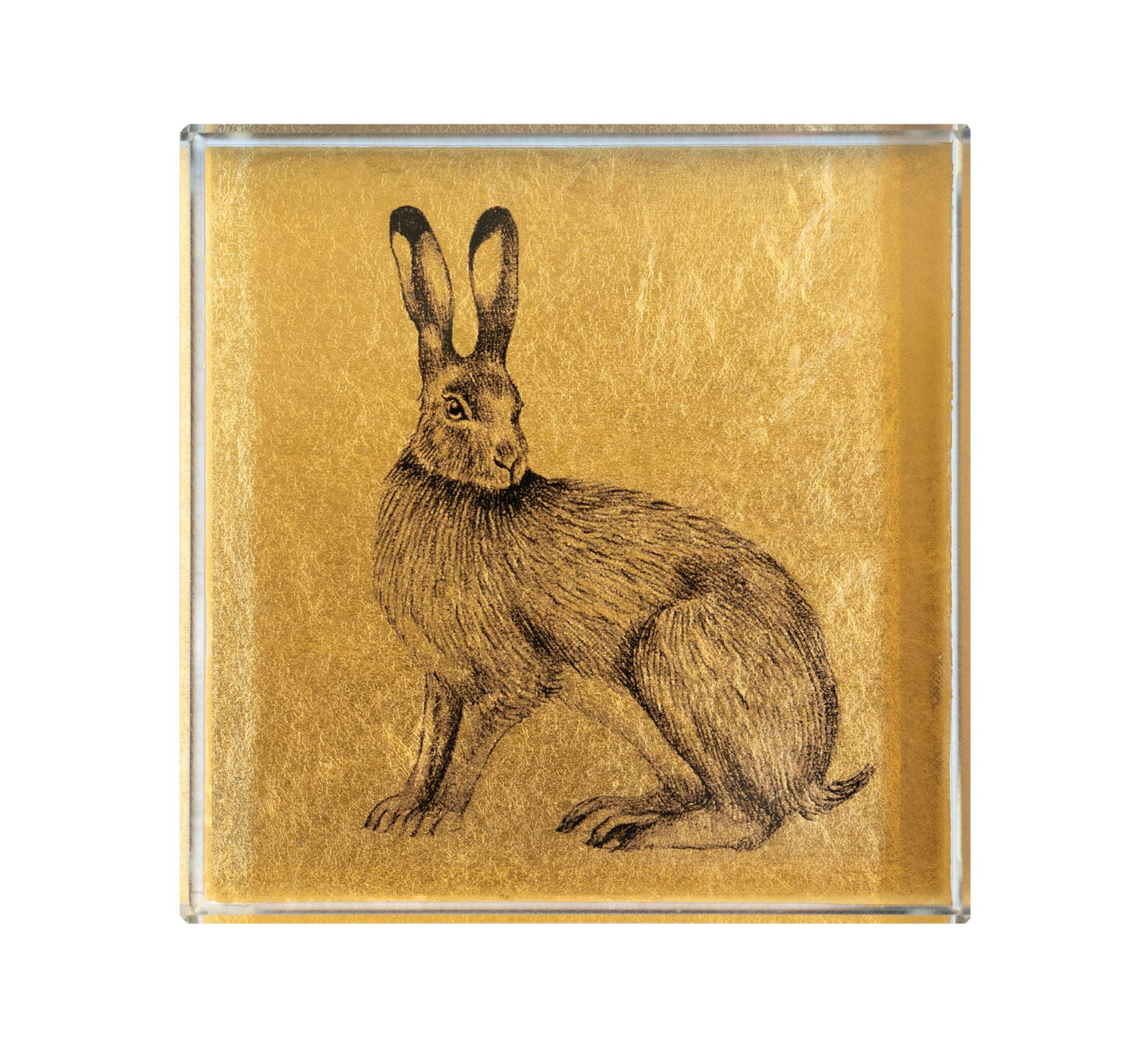 Hare Eight by Eight