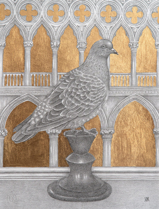 Pigeon on Palazzo Ducale