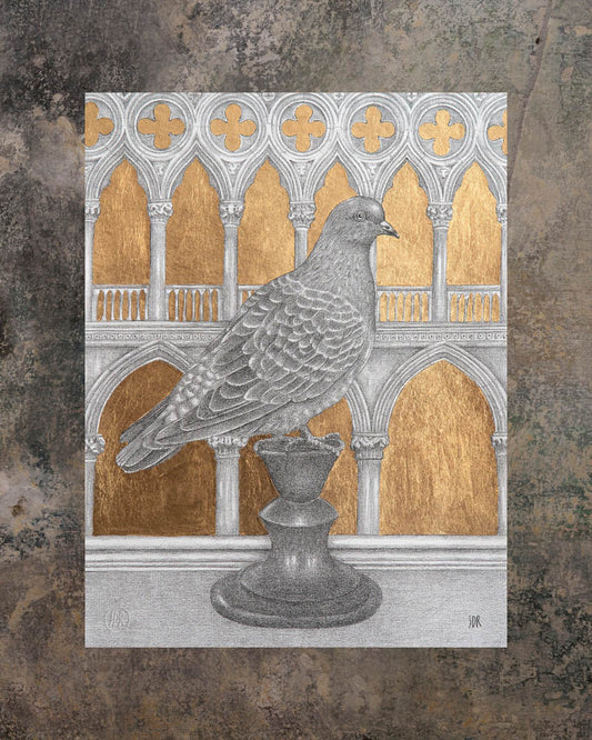 Pigeon on Palazzo Ducale