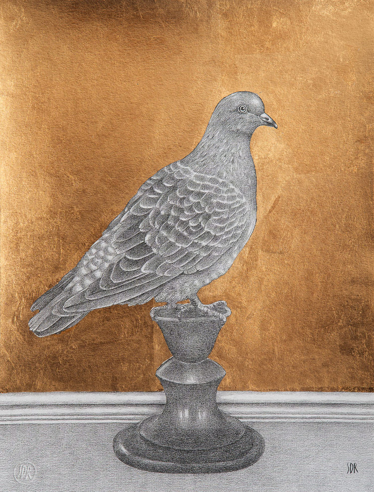Pigeon - Golden print