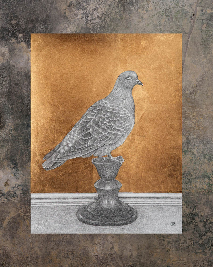 Pigeon - Golden print